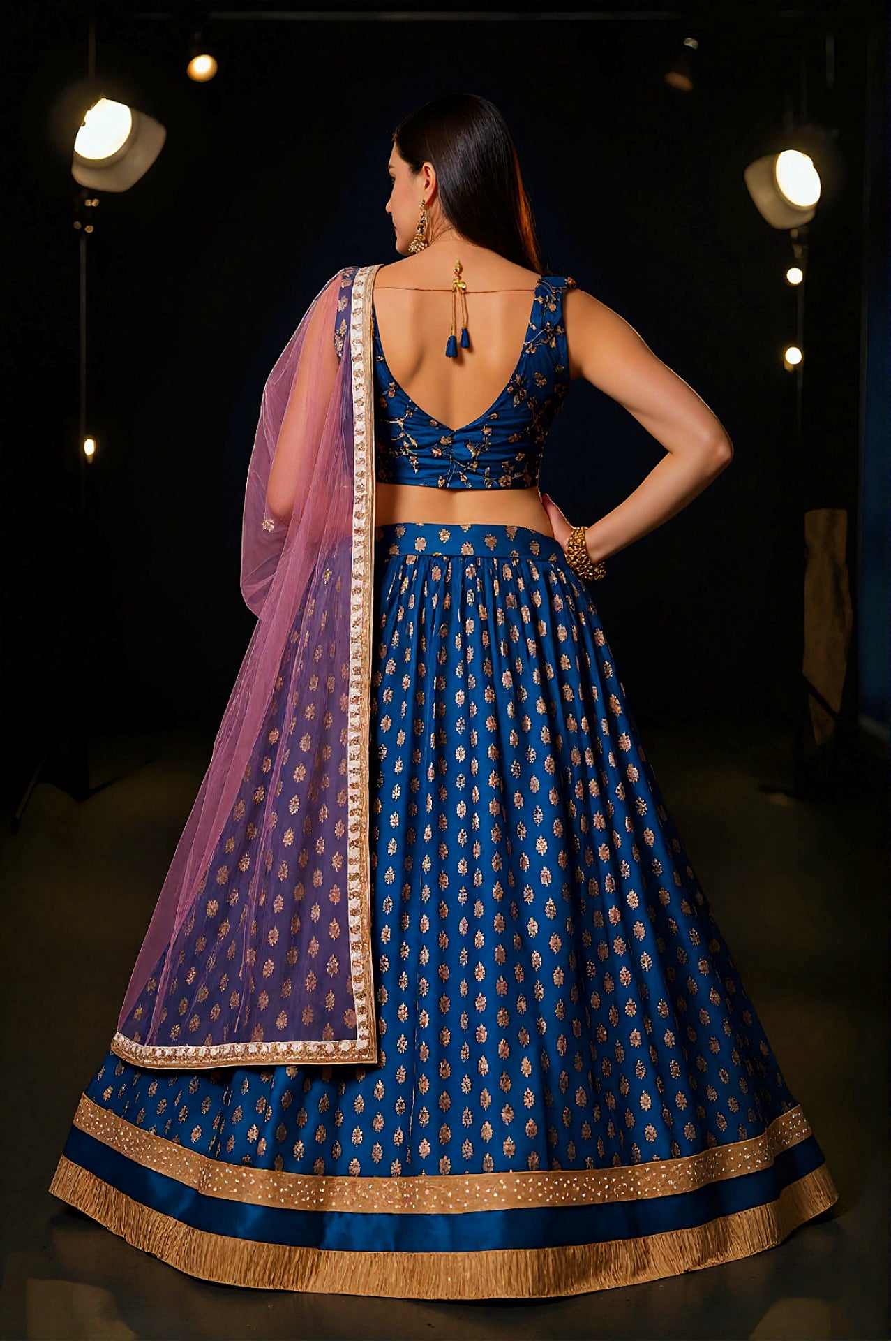 Navy Blue Embroidered Georgette Lehenga (Back View)