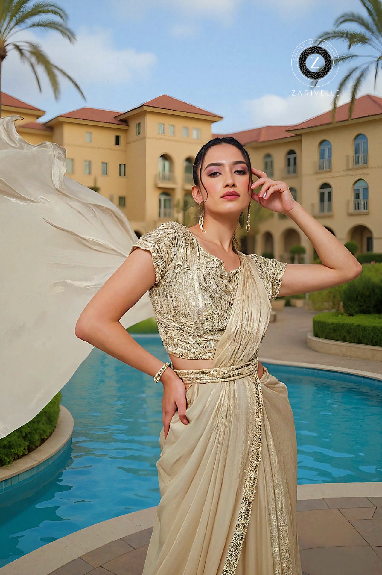 Beige Embroidered Silk Saree (Close up)