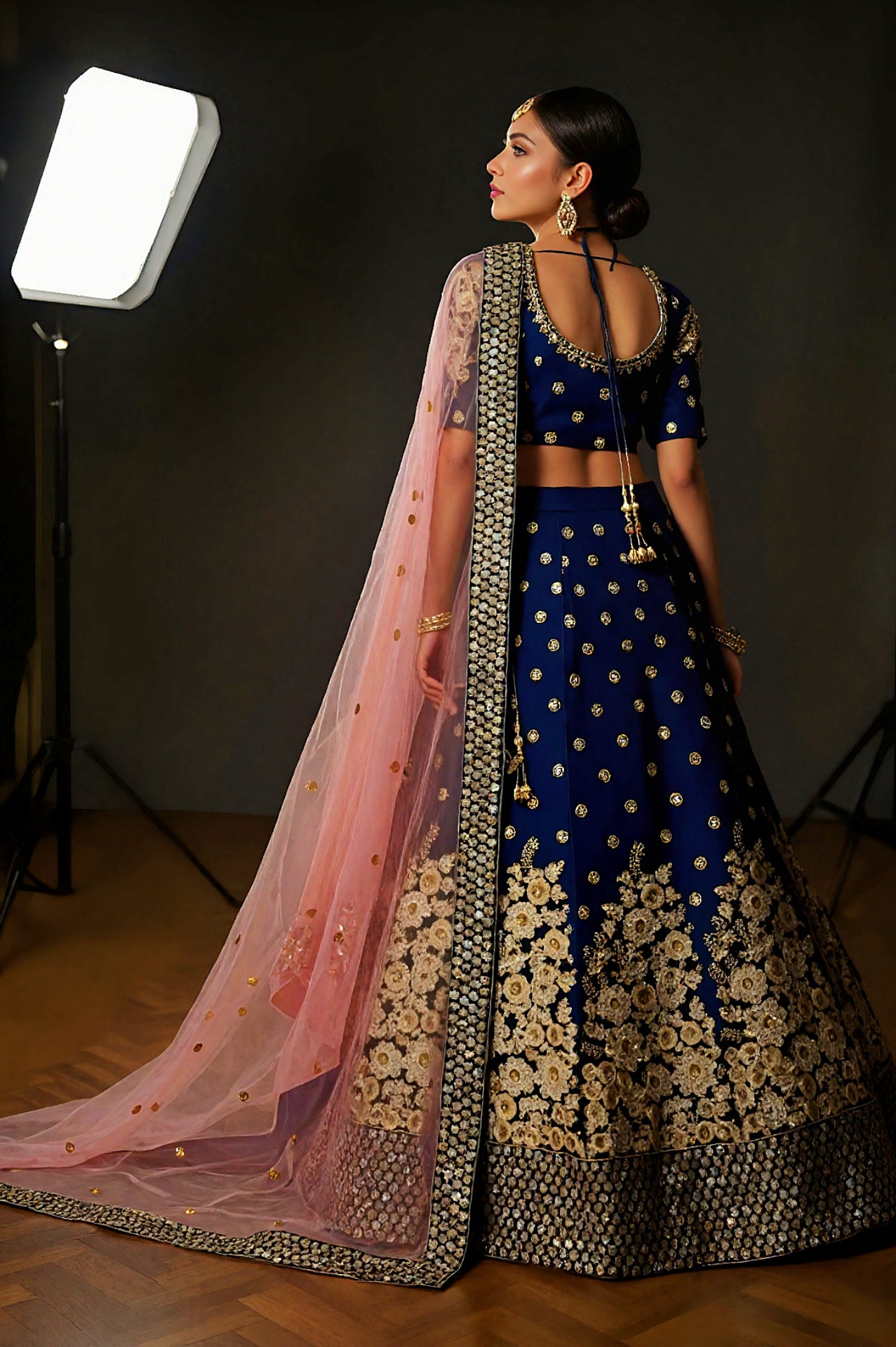 Blue And Pink Embroidered Velvet Lehenga (Back)